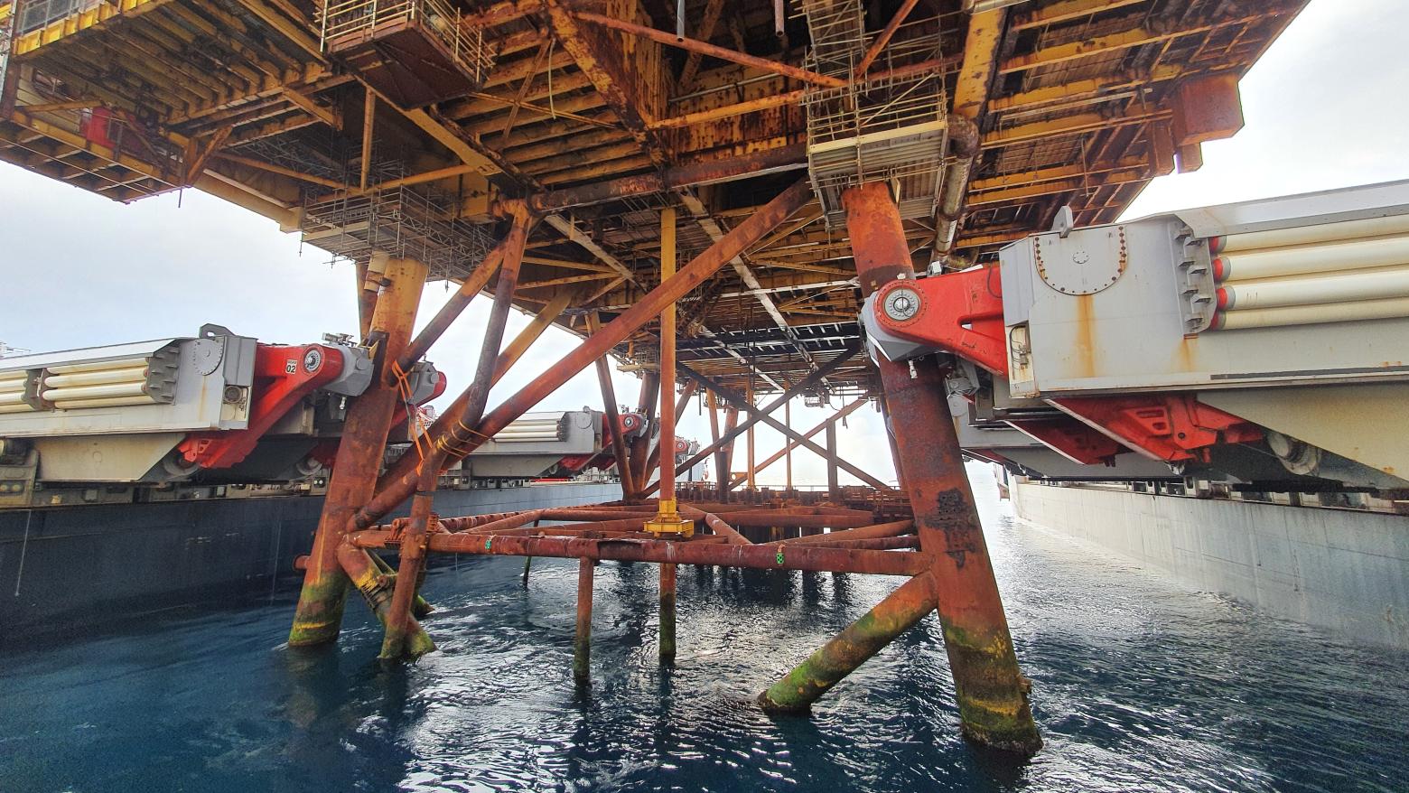 Heavy lift TLS horseshoes